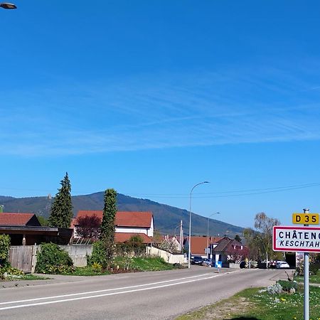 Gite Le Marronnier - Au Calme - Parking & Terrasse - Pres De Colmar Et Riquewihr - Route Des Vins Châtenois Buitenkant foto