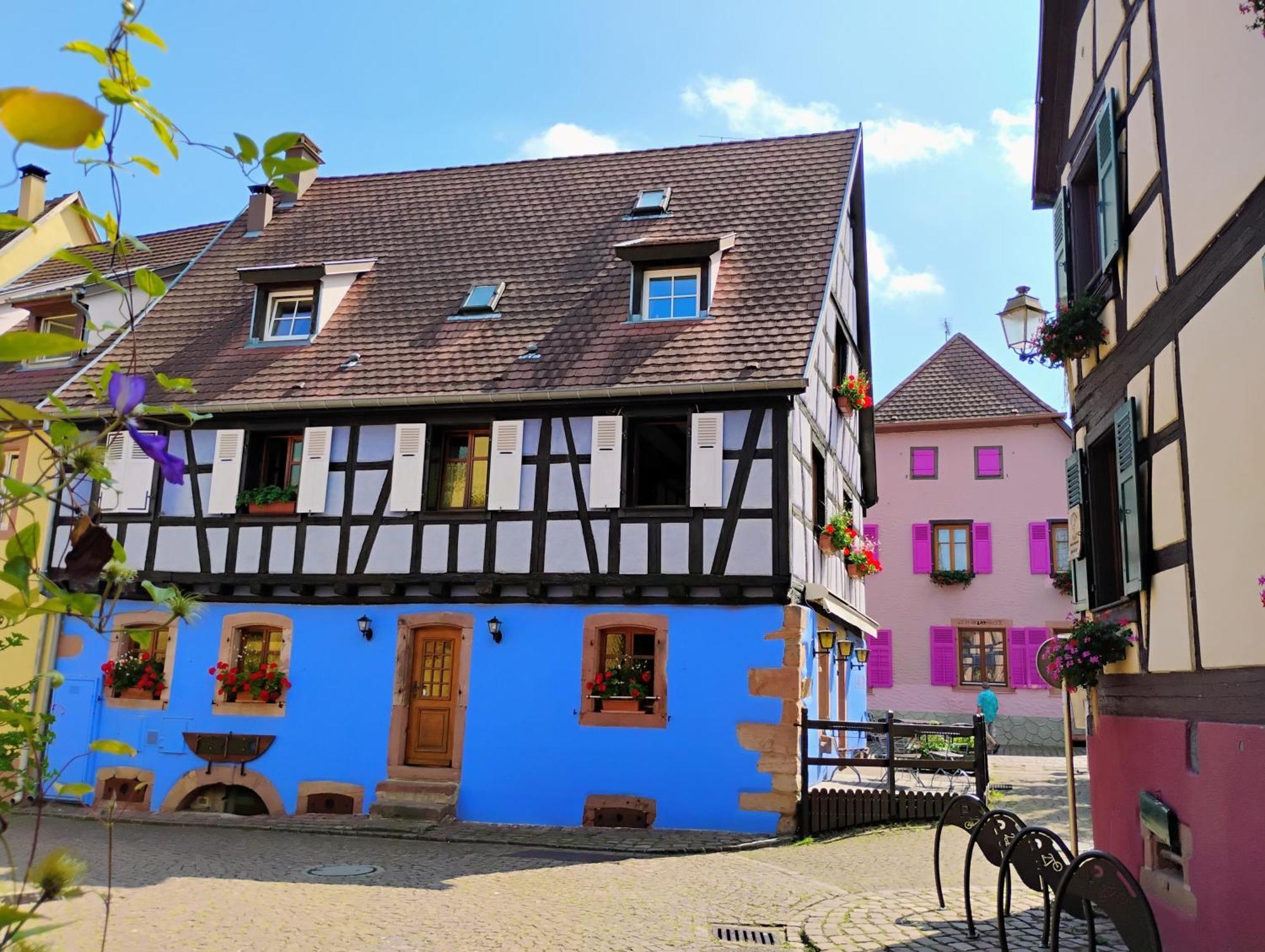 Gite Le Marronnier - Au Calme - Parking & Terrasse - Pres De Colmar Et Riquewihr - Route Des Vins Châtenois Buitenkant foto