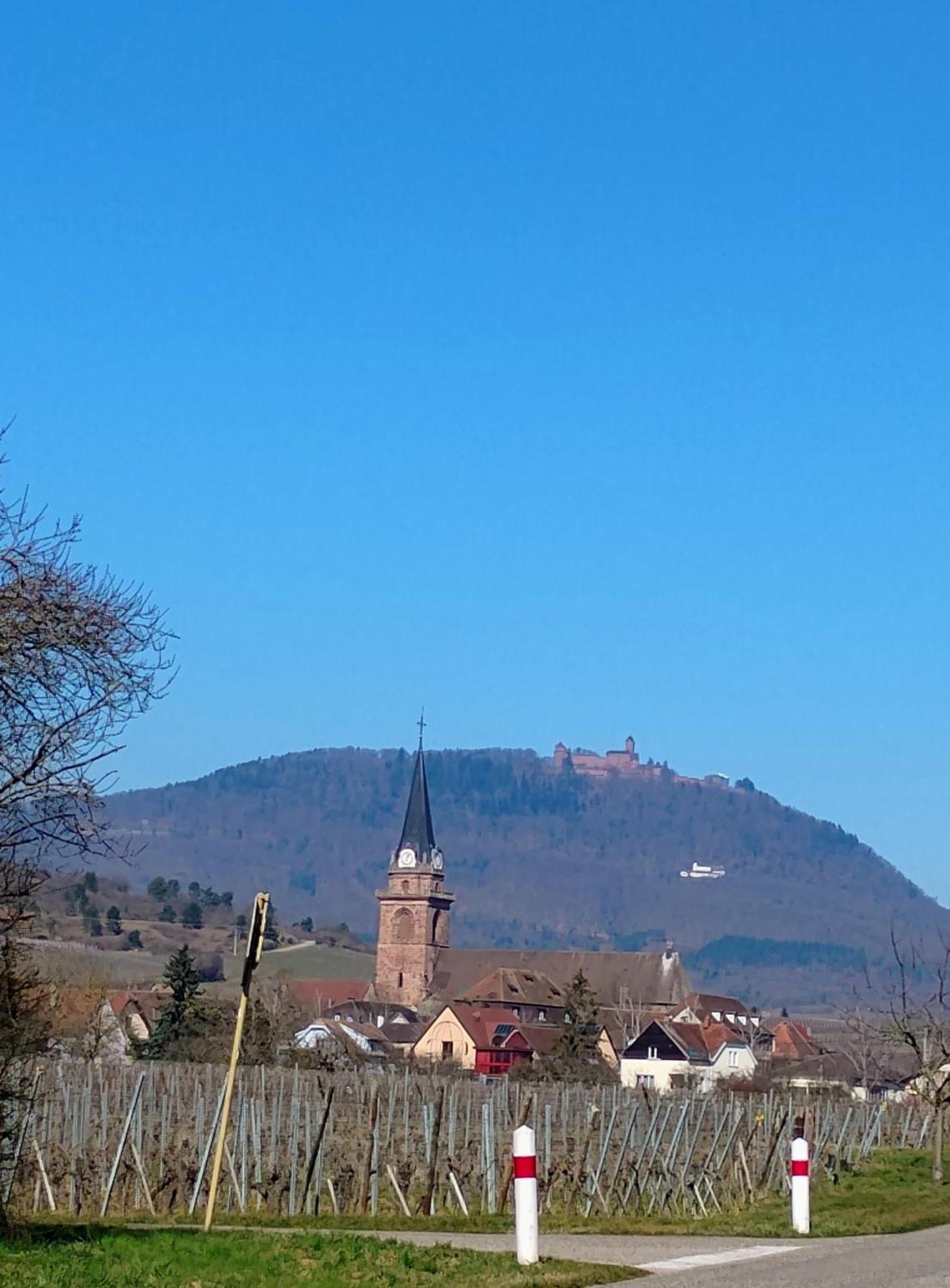 Gite Le Marronnier - Au Calme - Parking & Terrasse - Pres De Colmar Et Riquewihr - Route Des Vins Châtenois Buitenkant foto