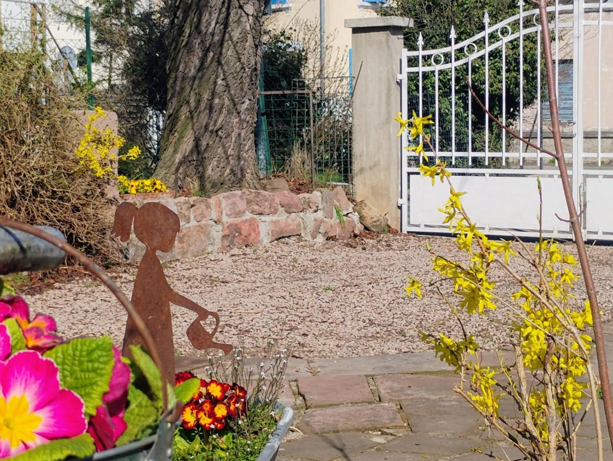 Gite Le Marronnier - Au Calme - Parking & Terrasse - Pres De Colmar Et Riquewihr - Route Des Vins Châtenois Buitenkant foto