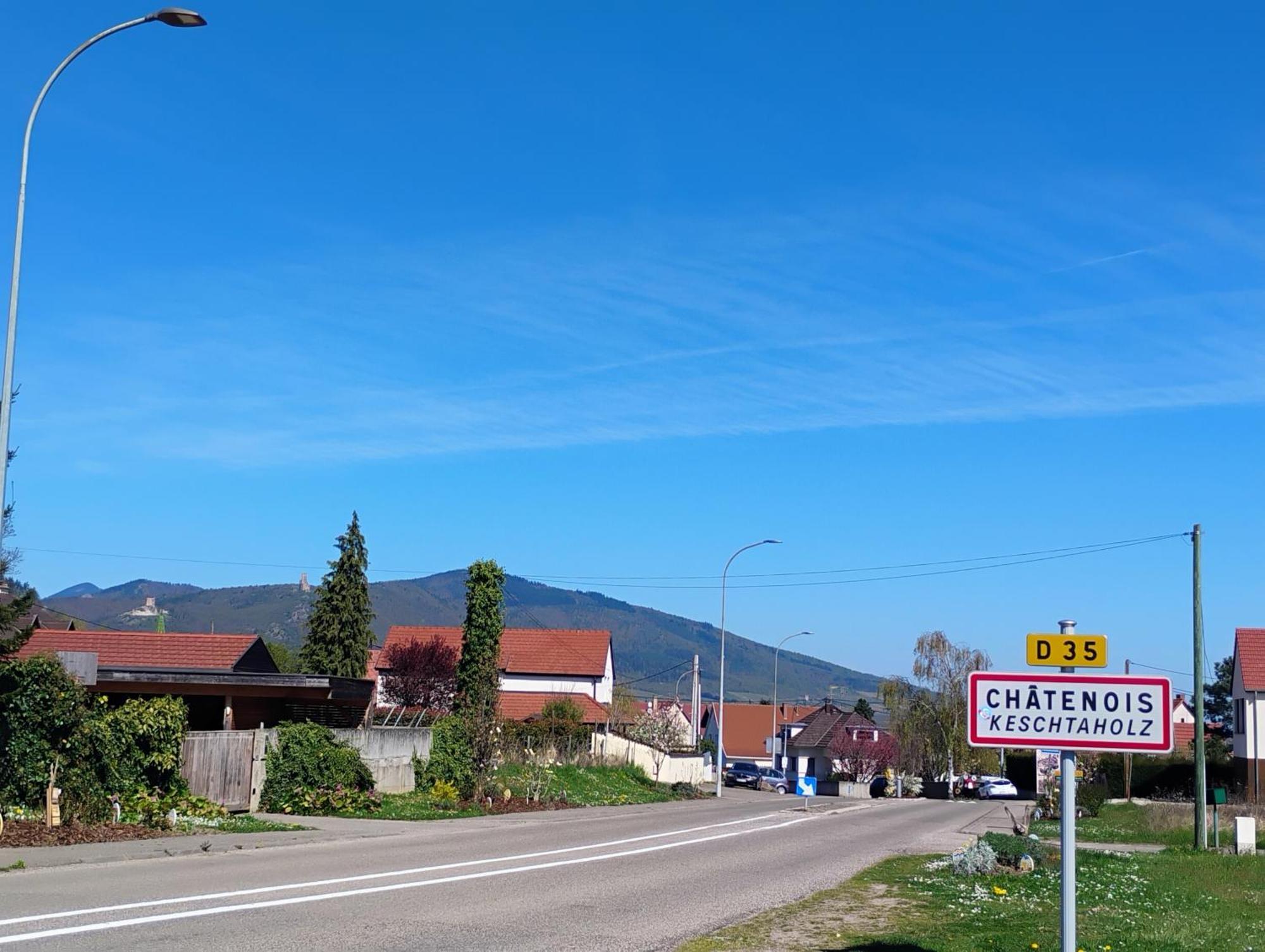 Gite Le Marronnier - Au Calme - Parking & Terrasse - Pres De Colmar Et Riquewihr - Route Des Vins Châtenois Buitenkant foto