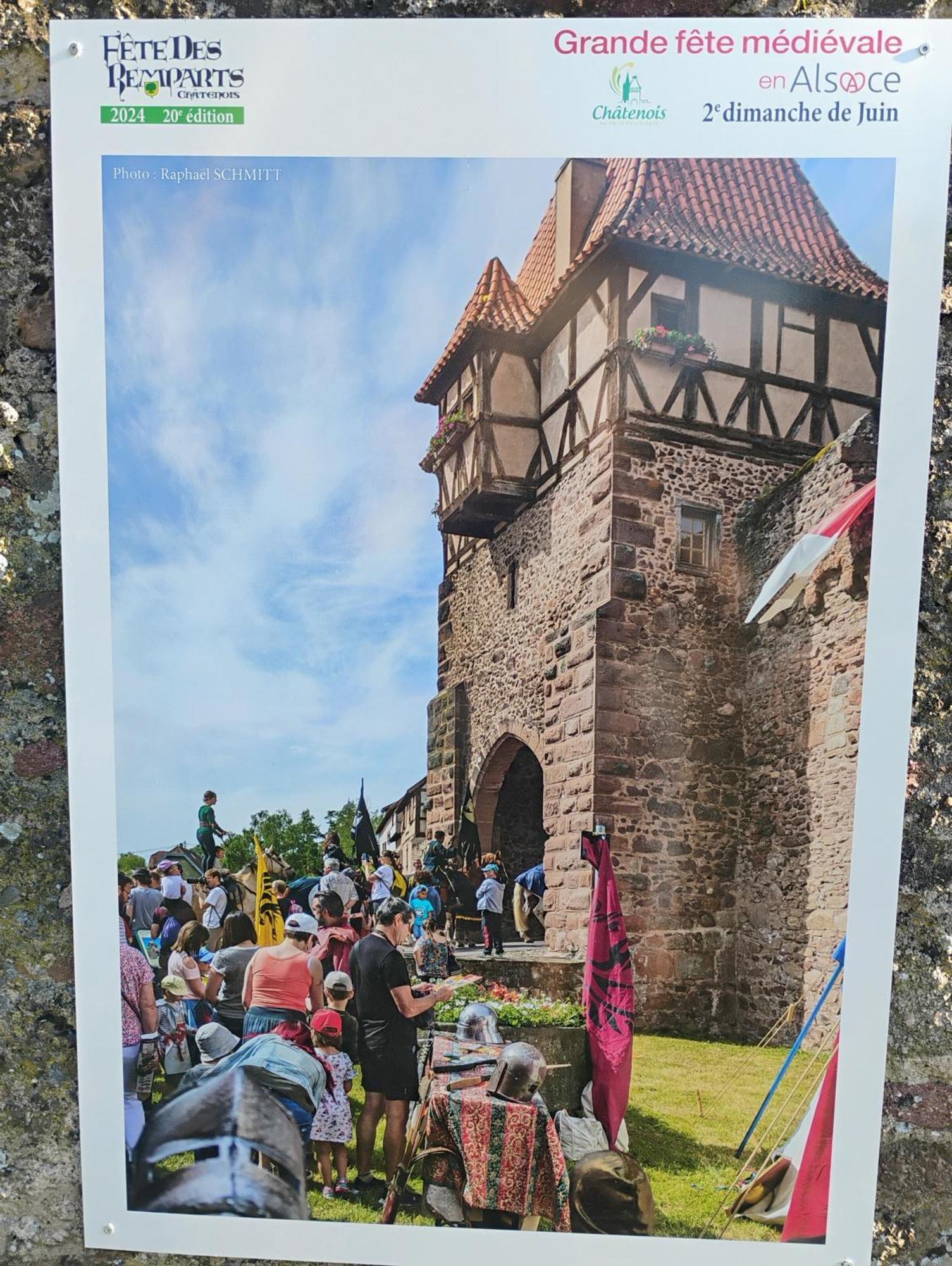 Gite Le Marronnier - Au Calme - Parking & Terrasse - Pres De Colmar Et Riquewihr - Route Des Vins Châtenois Buitenkant foto